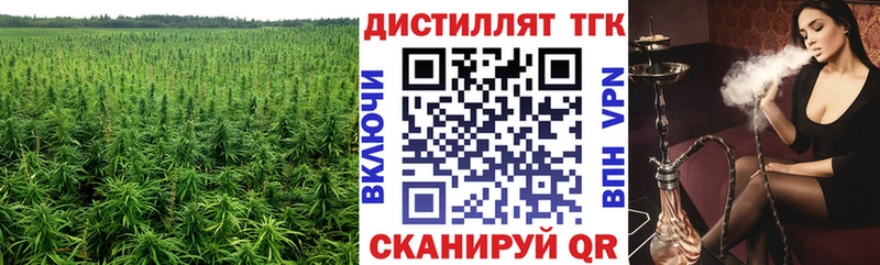 купить наркоту  Краснообск  Дистиллят ТГК THC oil 